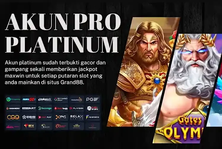 Akun Pro Platinum