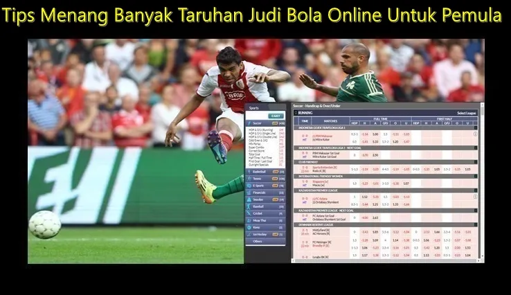 Hdp Judi Bola